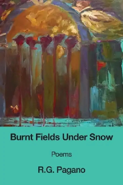 Burnt Fields Under Snow by R. G. Pagano