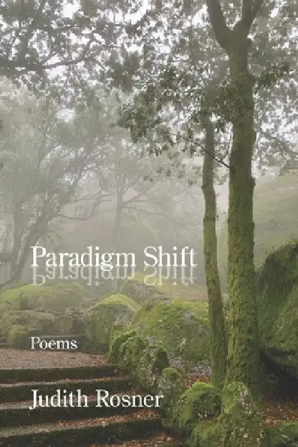 Paradigm Shift by Judith Rosner