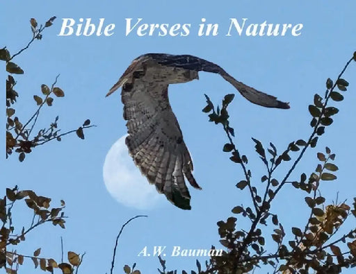 Bible Verses in Nature by Andrew Bauman