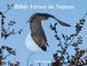 Bible Verses in Nature by Andrew Bauman