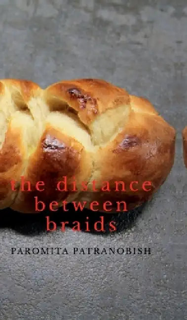 The Distance Between Braids by Paromita Patranobish