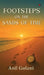 Footsteps on the Sands of Time by Anil Golani