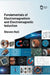 Fundamentals of Electromagnetism and Electromagnetic Induction by Steven Hall