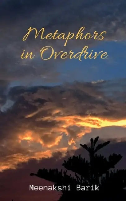 metaphors in overdrive by Meenakshi Barik