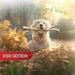 Winston Does Yard Work (New Edition) by Anne C. Dedeyn