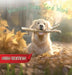 Winston Does Yard Work (New Edition) by Anne C. Dedeyn