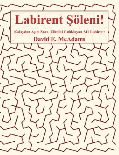 Labirent Şöleni!: Kolaydan Aşırı Zora, Zihnini Gıdıklayan 241 Labirent by David E. McAdams