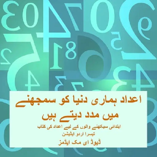 اعداد ہماری دنیا کو سمجھن by David E. McAdams