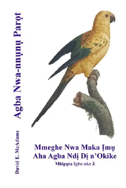 Agba Nwa-nnụnụ Parọt: Mmeghe Nwa Maka Ịmụ Aha Agba Ndị Dị n'Okike by David E. McAdams