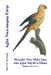 Agba Nwa-nnụnụ Parọt: Mmeghe Nwa Maka Ịmụ Aha Agba Ndị Dị n'Okike by David E. McAdams