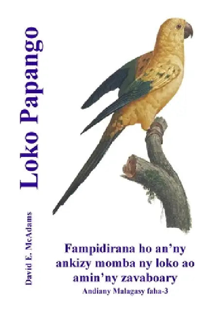 Loko Papango: Fampidirana ho an'ny ankizy momba ny loko ao amin'ny zavaboary by David E. McAdams, Bouquet