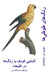 رنگ]های طوطی]ها: آشنایی کو by David E. McAdams