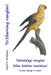 To'tilarning ranglari: Tabiatdagi ranglar bilan bolalar tanishuvi by David E. McAdams