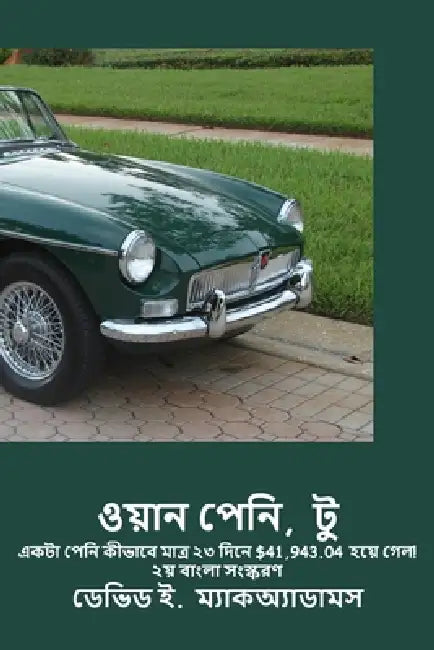 ওয়ান পেনি, টু: একটা পেনি ক by David E. McAdams