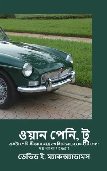 ওয়ান পেনি, টু: একটা পেনি ক by David E. McAdams