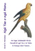 Ngā Tae o ngā Manu: He Kupu Whakataki Mā te Tamaiti ki ngā Tae o te Taiao by David E. McAdams