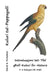 Kuluri tal-Pappagalli: Introduzzjoni tat-Tfal għall-Kuluri fin-Natura by David E. McAdams