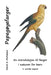 Papegøyefarger: En introduksjon til farger i naturen for barn by David E. McAdams