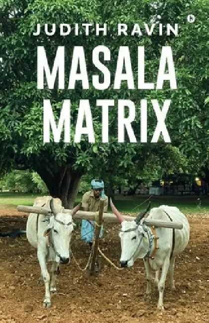 Masala Matrix by Judith Ravin