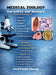 Medical Zoology: Parasites and Vectors for Life Science and Allied Health Students by Prof Fazal Ahmad