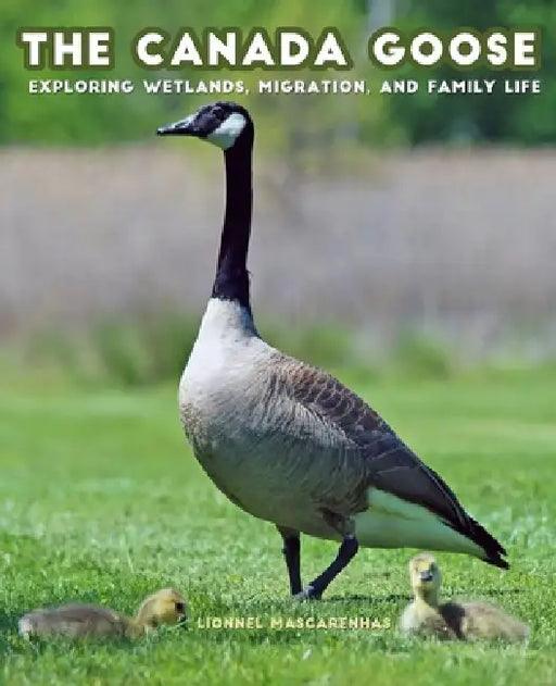 The Canada Goose: Exploring Wetlands, Migration, and Family Life by Lionnel Mascarenhas, Lionnel Mascarenhas