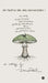 Do People Die Like Mushrooms?: An Anthology by Devi Rahul