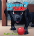 Where Is My Ball? by Elise Fare