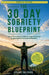 The 30 Day Sobriety Blueprint, Your Complete Guide To Stop Drinking & Overcome Alcohol Addiction by Stuart Weidner