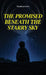 The Promised Beneath the Starry Sky by Yonathan Levy