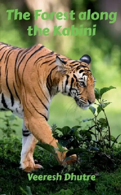 The Forest along the Kabini by Veeresh Dhutre