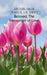 Mehbubur rasul ul Ishq: Beloved: The Messenger of Love by Muwahid