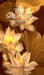 The Self Notes: A Book on Learnings in the Path of Life Written on the Streanghth of Experiences and Analysis by Swarnapali Gupta