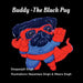 Buddy The Black Pug: The Black Pug by Deepanjali Singh