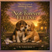 The Not-Forever Feeling by Amber Justis