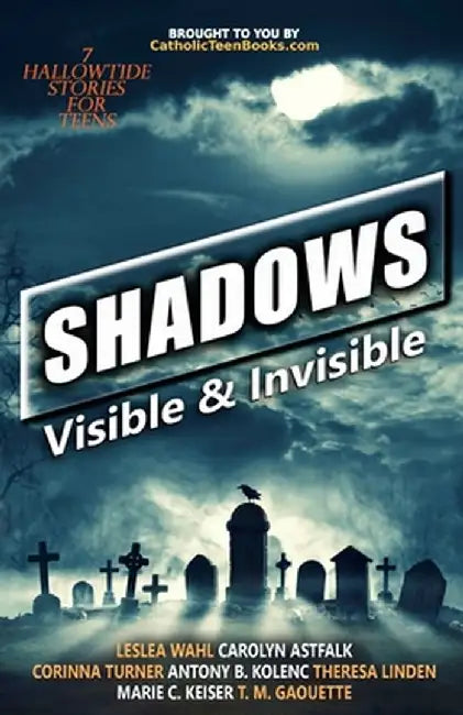 Shadows: Visible & Invisible by Leslea Wahl