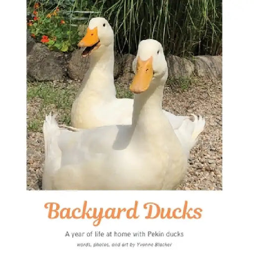 Backyard Ducks: A year of life at home with Pekin ducks by Yvonne M. Blacker