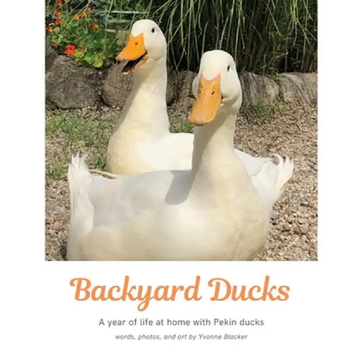 Backyard Ducks: A year of life at home with Pekin ducks by Yvonne M. Blacker