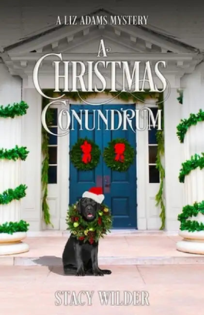 A Christmas Conundrum by Stacy Wilder