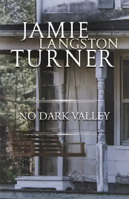 No Dark Valley by Jamie Langston Turner