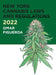 2022 New York Cannabis Laws and Regulations by Omar Figueroa