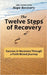 The Twelve Steps of Recovery: Success in Recovery Through a Faith-Based Journey by Schmalhofer, Greg
