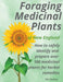 Foraging Medicinal Plants of New England: How to safely identify and prepare over 100 medicinal plants for herbal remedies by Silvi Pavlova