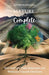 Mature and Complete: How God Uses Trials, Brokenness, and Wilderness Times for Our Good by Sandra Kathleen