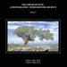 The Abraham Path: A Photographic Impressionism Journey: Volume I by Joshua Weiss, Earle Weiss