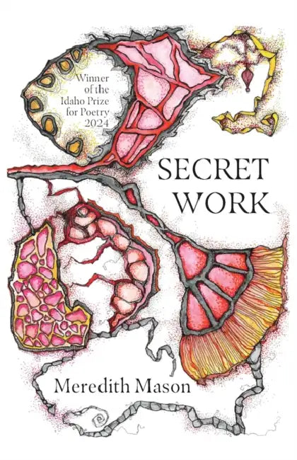 Secret Work by Meredith Mason