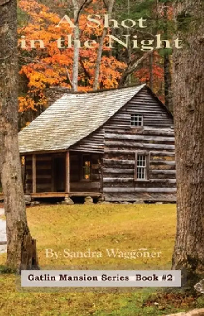 A Shot in the Night by Sandra Waggoner