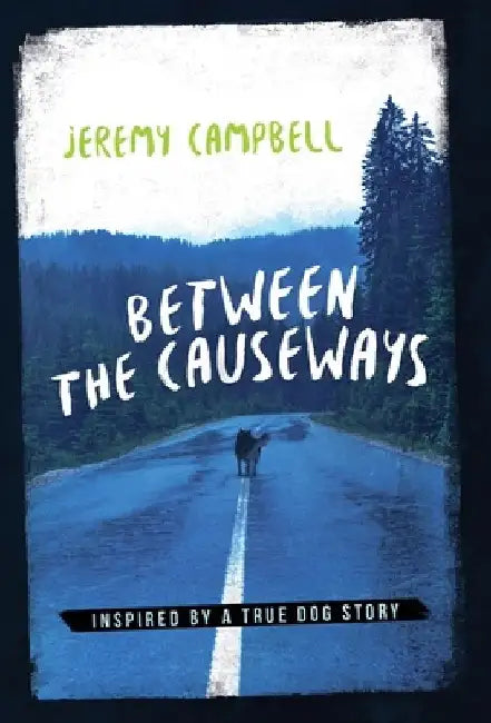 Between the Causeways by Jeremy Campbell