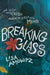 Breaking Glass by Lisa Amowitz