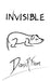 Invisible by Diana R. Fiore