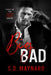 Big Bad by S. D. Maynard